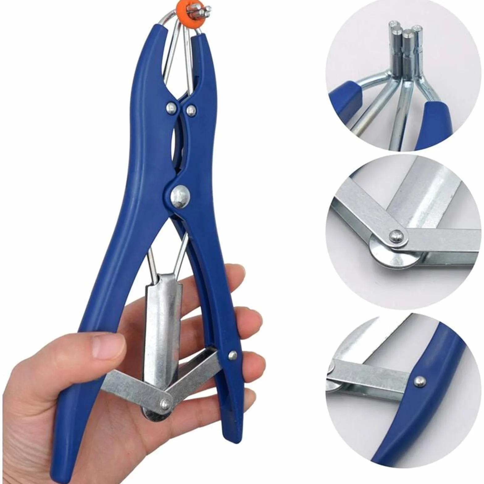 Elastische Kastrationszange aus Edelstahl für Rinder, Schweine, Schafe, Gürtel, 100 Gummiringe, 21,5 cm, blau