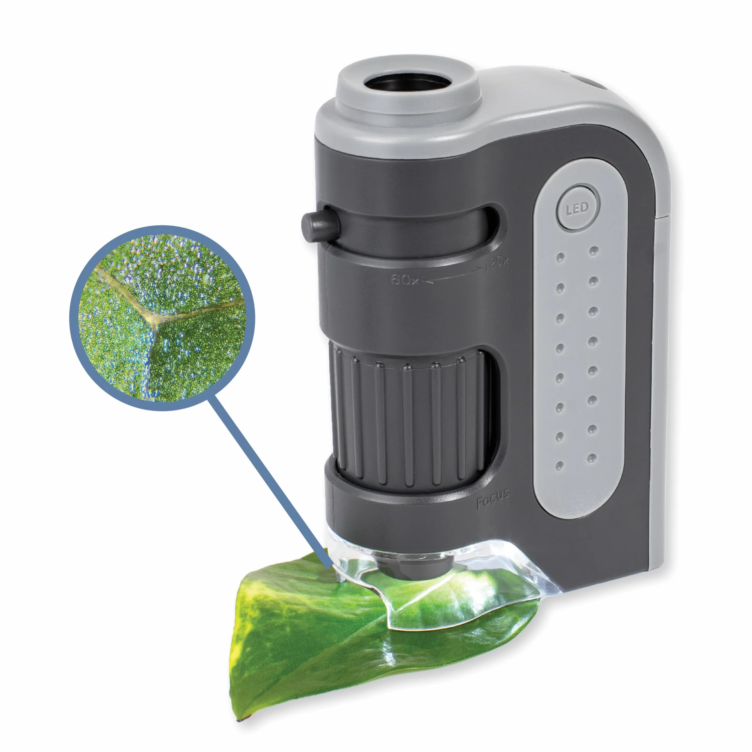 Carson MicroBrite Plus 60x–120x Taschenmikroskop - Allrounder für Schule, Studium, Grower, Wissenschaft & Lernen (MM-300)