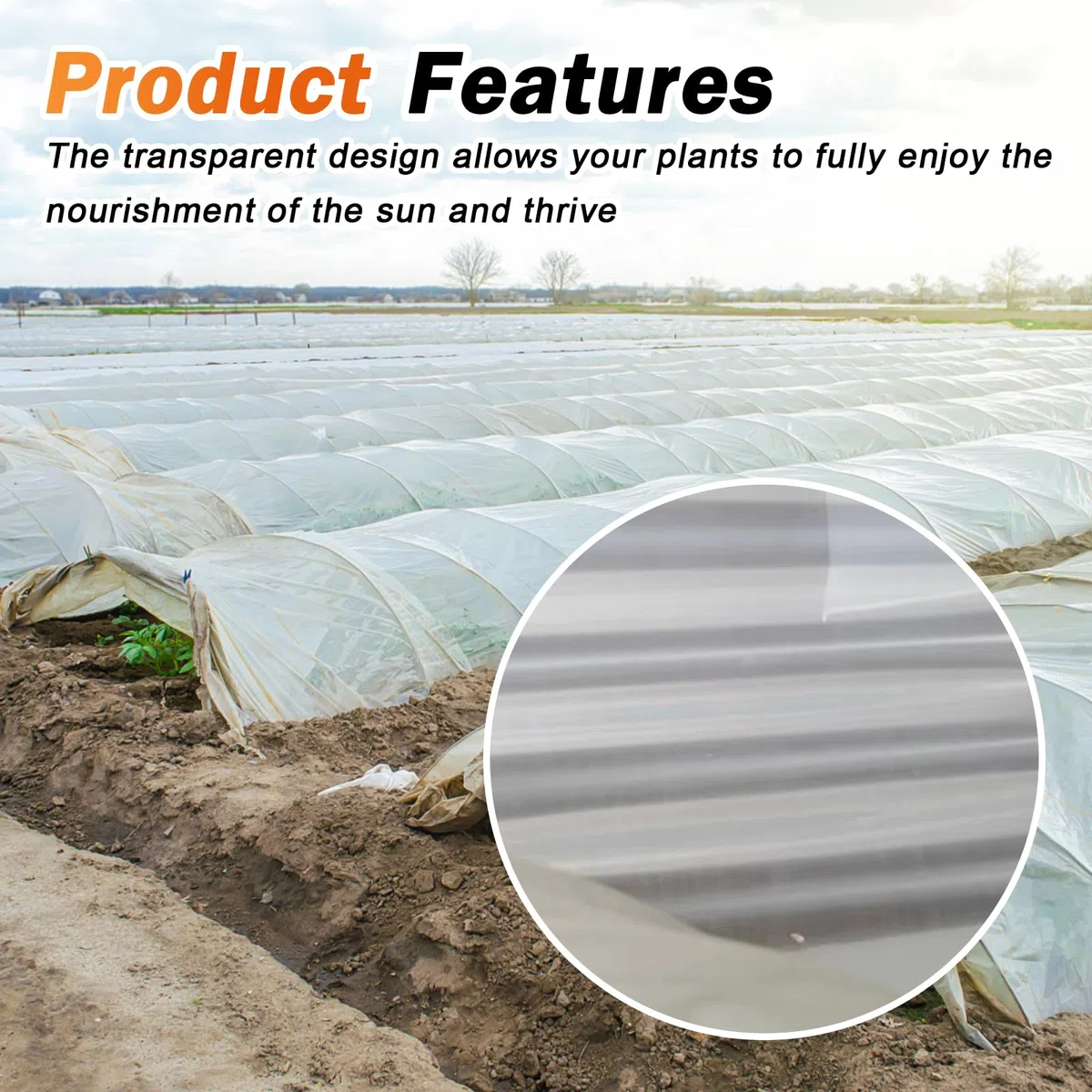 2m x 6m Polyethylenfolie Transparent Gewächshausfolie, Extra Dick Reißfest UV-resistente Gartenfolie aus Tunnelfolie PE Folie für Tomatenhaus Gemüse Pflanzen Gartenarbeit Landwirtschaft Treibhaus (L)