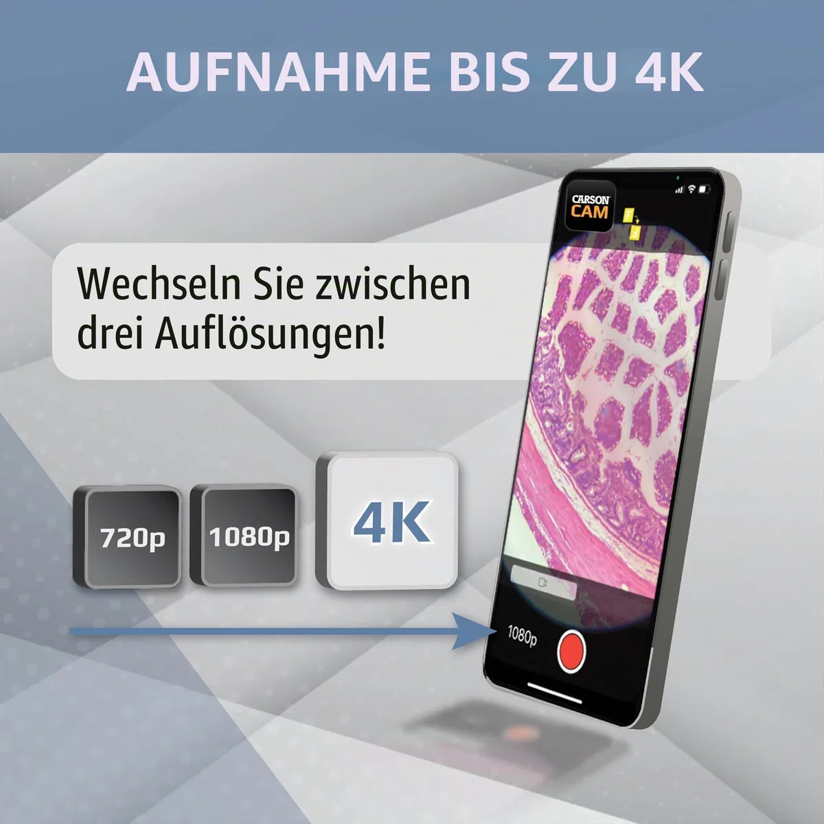 Carson MicroBrite Plus 60x–120x Taschenmikroskop - Allrounder für Schule, Studium, Grower, Wissenschaft & Lernen (MM-300)