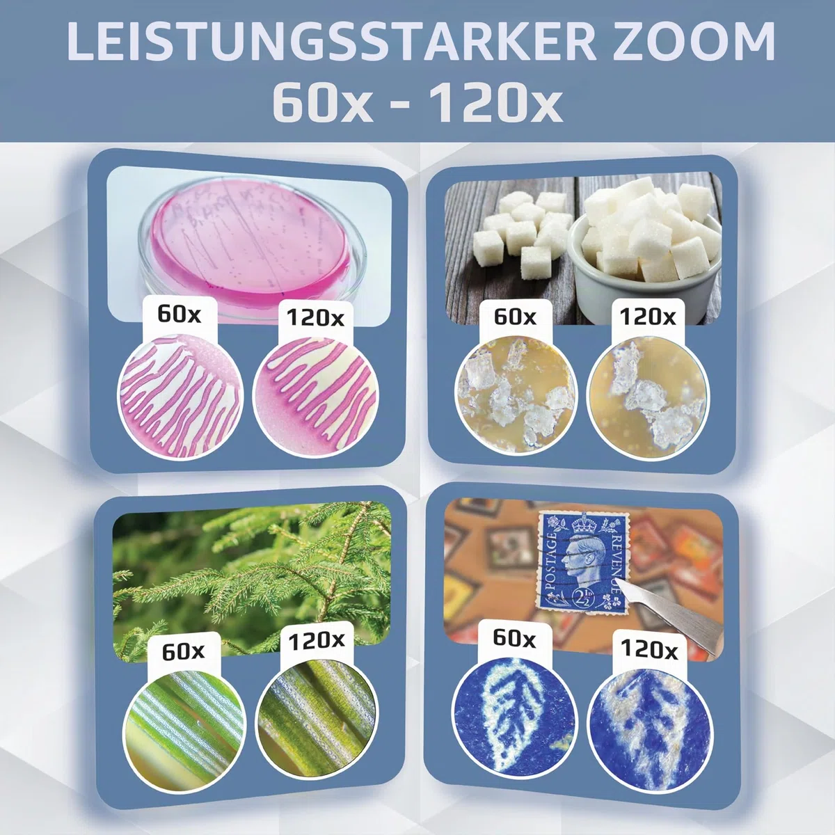 Carson MicroBrite Plus 60x–120x Taschenmikroskop - Allrounder für Schule, Studium, Grower, Wissenschaft & Lernen (MM-300)