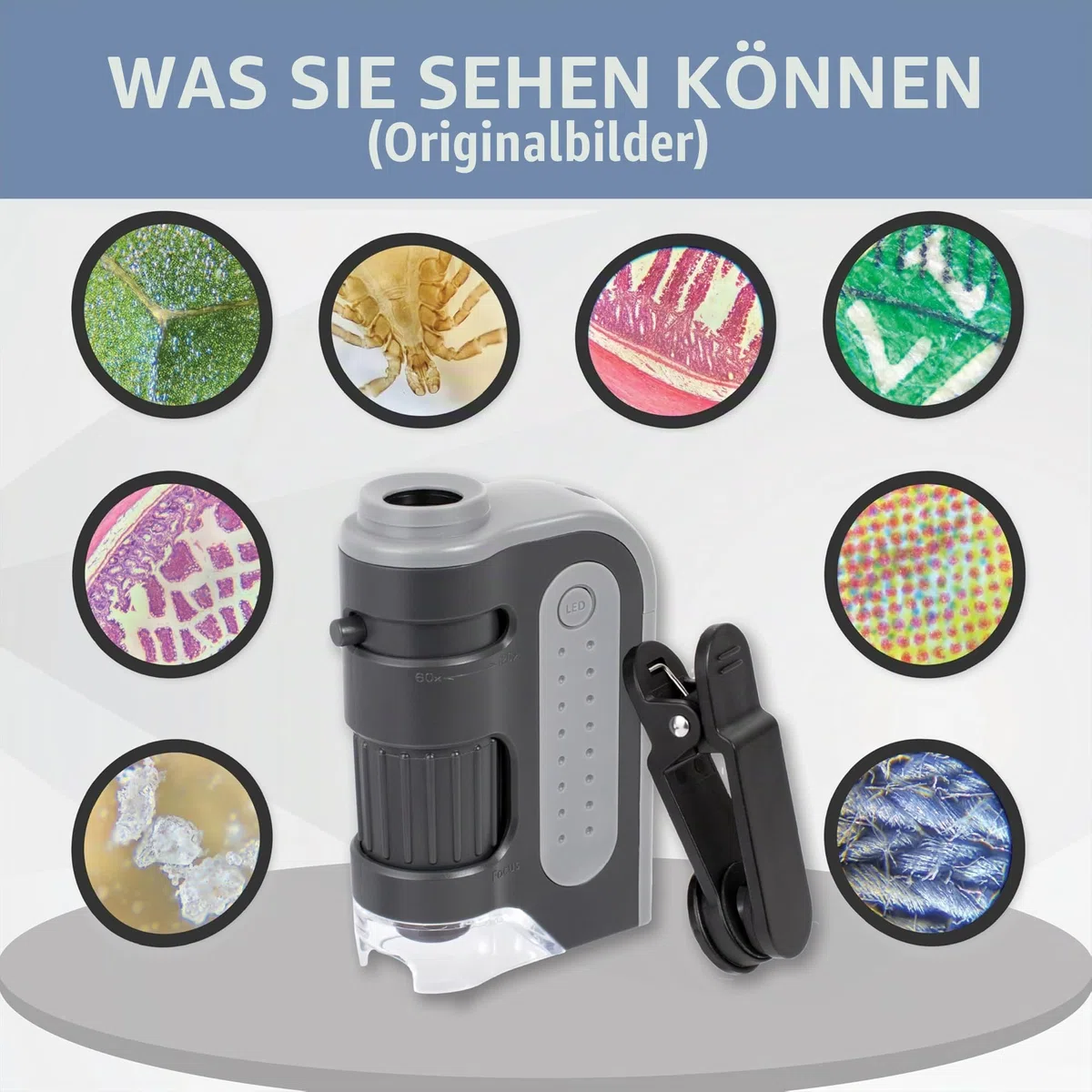 Carson MicroBrite Plus 60x–120x Taschenmikroskop - Allrounder für Schule, Studium, Grower, Wissenschaft & Lernen (MM-300)