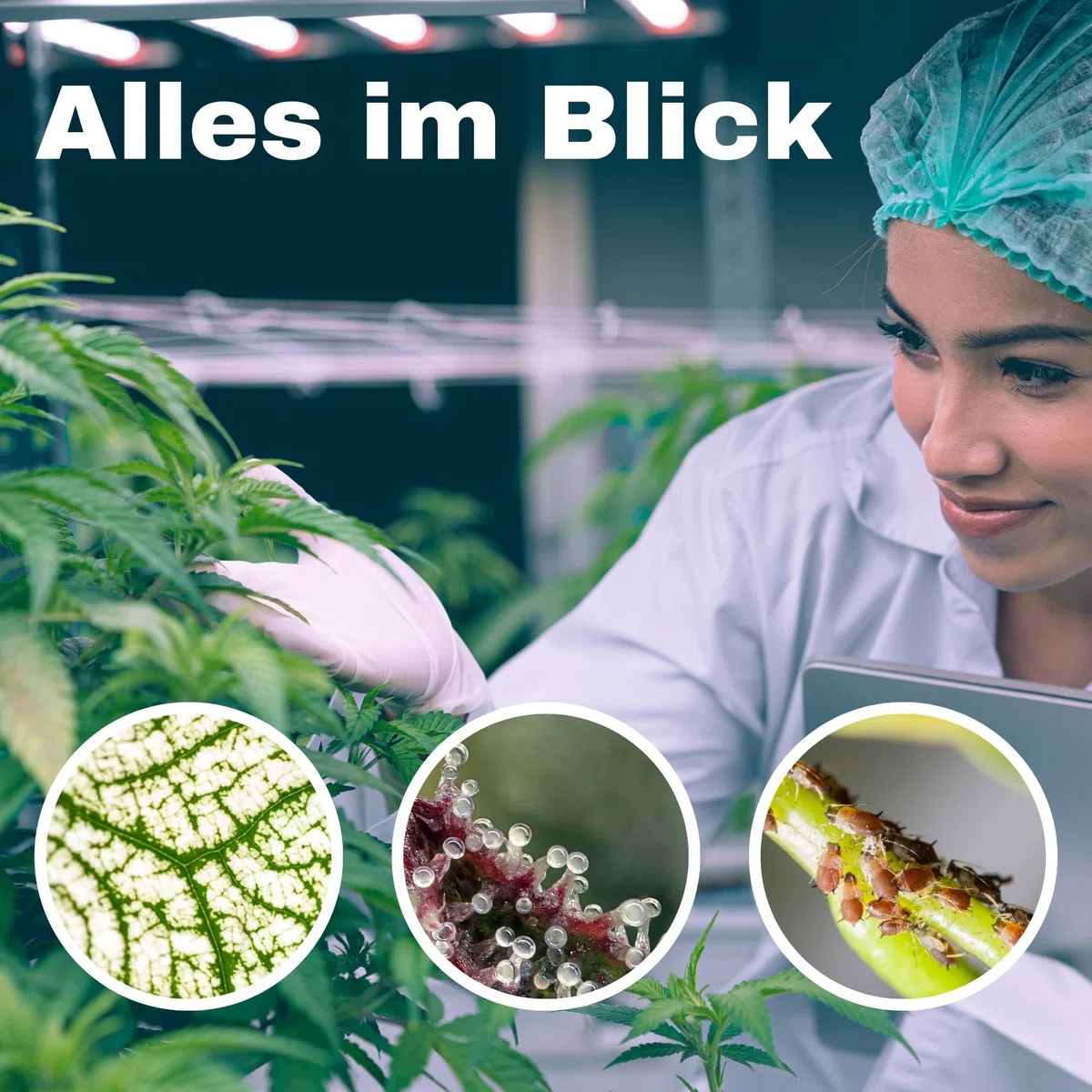TronicXL Grow Taschenmikroskop 60x - 120x Lupe Mikroskop für Trichome Ernte Zubehör für Growbox Grower Erntehelfer Prüfung Messgerät Schädlinge Pilze