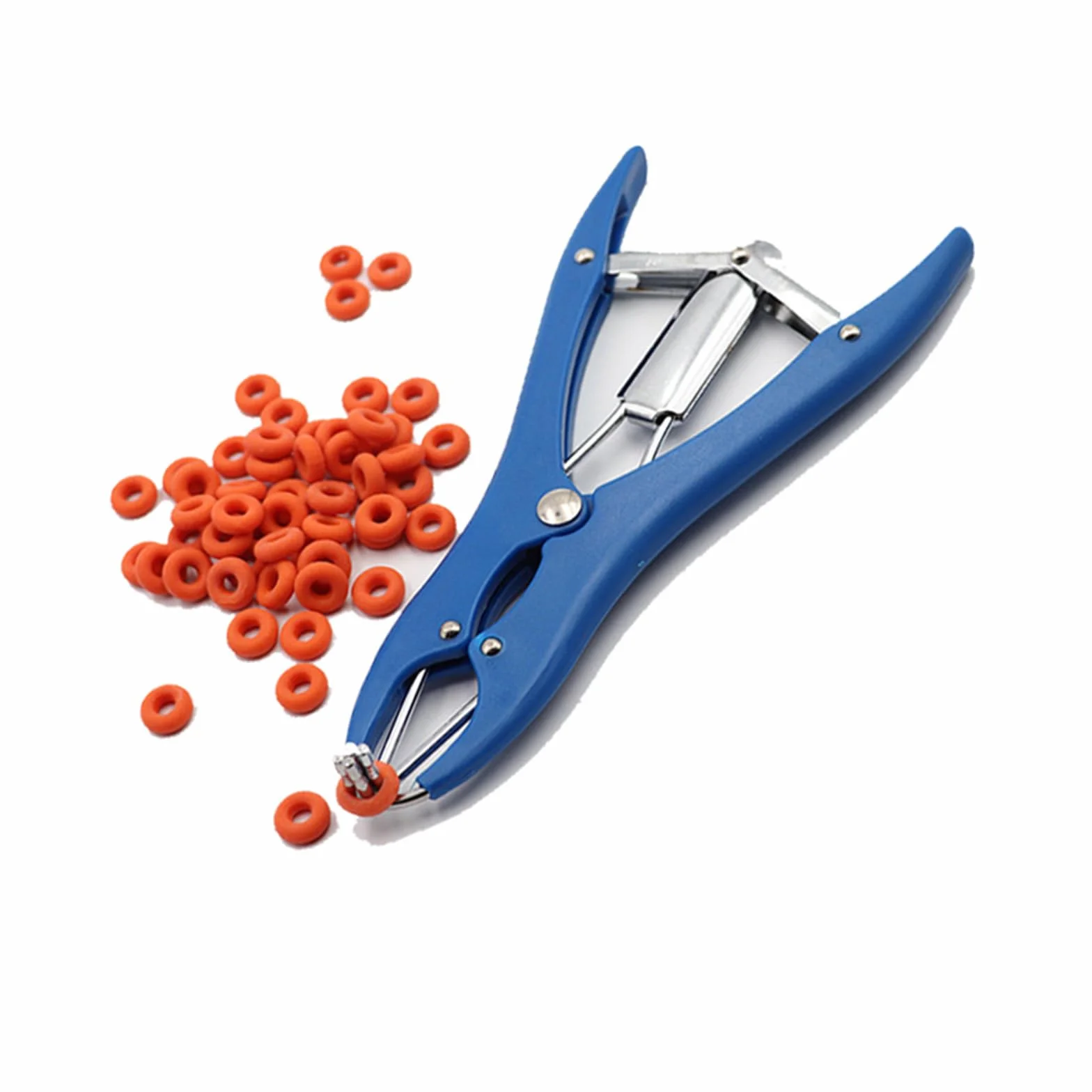Elastische Kastrationszange aus Edelstahl für Rinder, Schweine, Schafe, Gürtel, 100 Gummiringe, 21,5 cm, blau